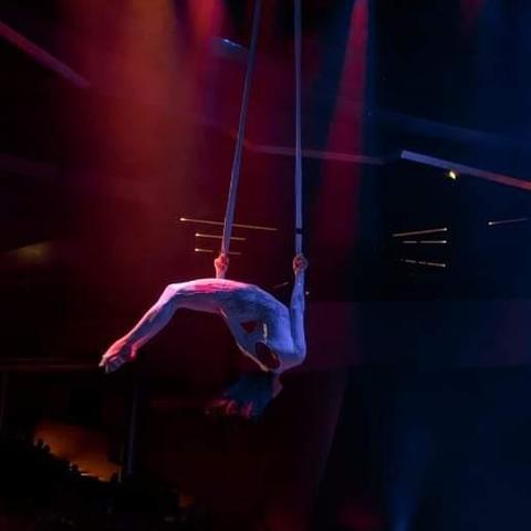 Anastasia  Markelova  - Individual - Russia - StageLync