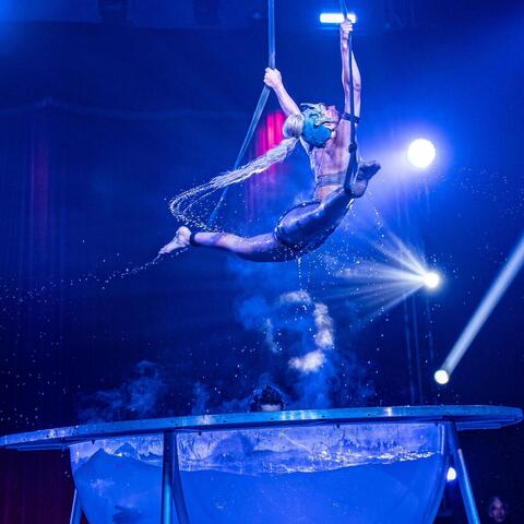 Dianella Perrino - Individual - Venezuela - StageLync