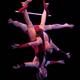 Nimble Arts - Company - United States - StageLync