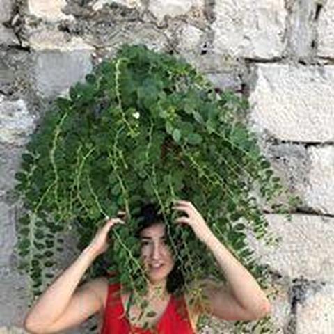 Dora Komenda - Individual - Croatia - StageLync