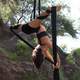 Itzel Aranda - Individual - Mexico - StageLync