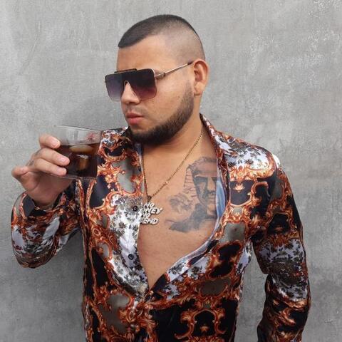 Luis Gerardo  Camacho Rivera  - Individual - Mexico - StageLync