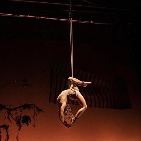 Amelia Circus - Individual - United Kingdom - StageLync