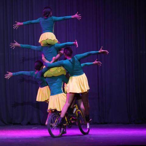 ethio circus - Company - Ethiopia - StageLync