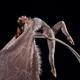 Karina Peisker - Individual - Germany - StageLync