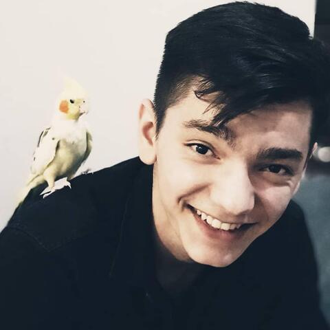 Artoghrul Panahli - Individual - Azerbaijan - StageLync