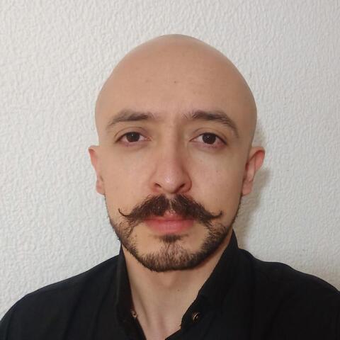 Joel Gaytán - Individual - Mexico - StageLync