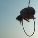 sofia martino - Individual - Argentina, Brazil - StageLync