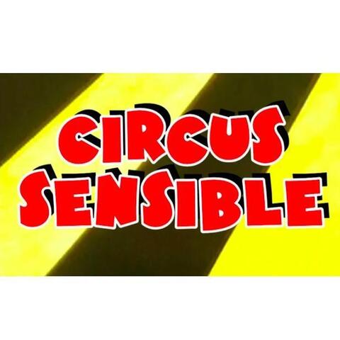 Circus Sensible - Company - United Kingdom - StageLync