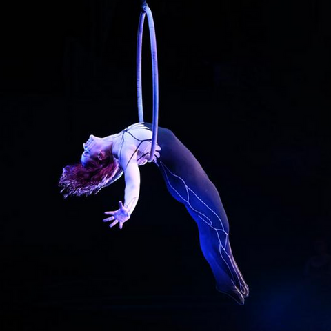 Camille Echeverri - Individual - Colombia, Ireland, United States - StageLync