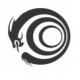 Fly Studios Kidz Aerial Arts - School - United States - StageLync