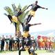 Wheels acro Ghana - Individual - Ghana - StageLync