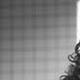 Renata Polga - Individual - StageLync