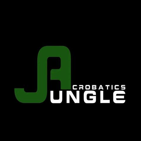 Jungle acrobats - Company - Zimbabwe - StageLync