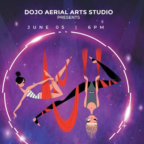 DOJO AERIAL ARTS - School - United States - StageLync