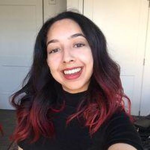 Saman Ehsan - Individual - United States - StageLync