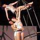 La Cage Trio - Company - United States - StageLync