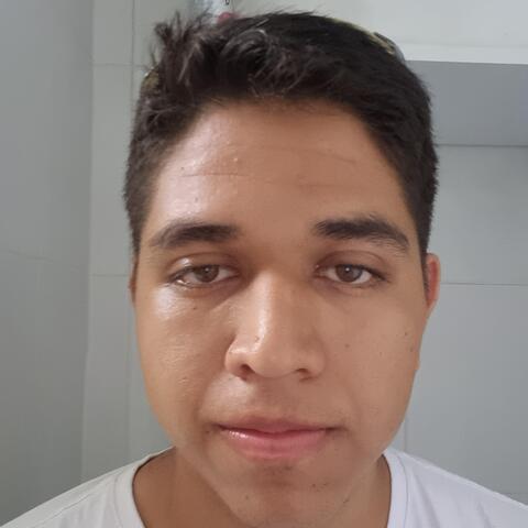 Luis Eduardo Pineda Salazar - Individual - Mexico - StageLync
