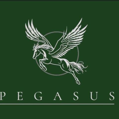 Pegasus Movie Productions - Company - United States - StageLync