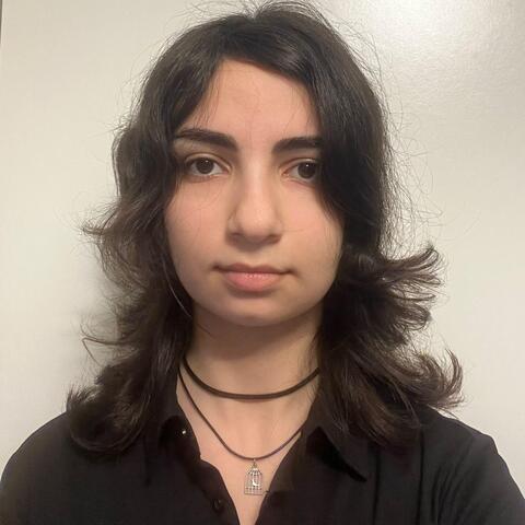 Bahar Ehyaei - Individual - Iran, United Kingdom - StageLync