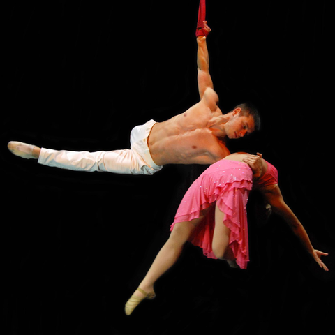 Misako Nakanishi - Individual - Japan - StageLync