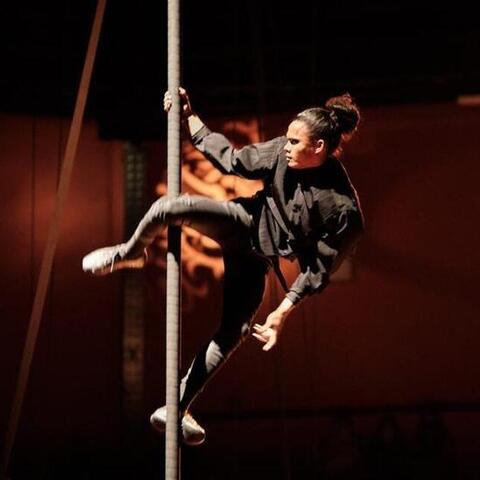 Josinaldo Tavares Pacheco - Individual - Brazil, France - StageLync