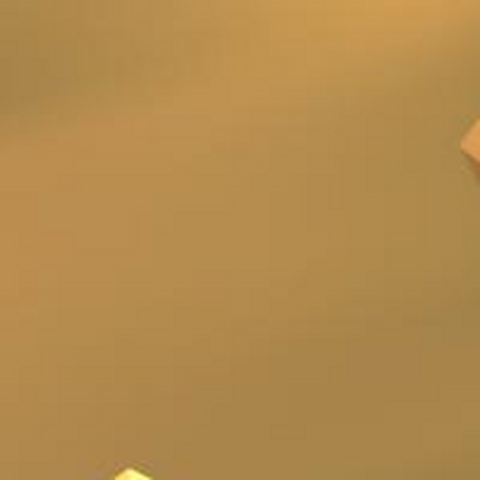 Bravo circus - Organization - Mongolia - StageLync