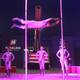 Otro Circo - Company - Mexico - StageLync