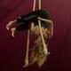 Clementine Tonkin Wells - Individual - United Kingdom - StageLync