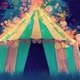 Pink Elephant Circus - Company - United Kingdom - StageLync