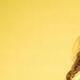 Nicole Mealin Vazquez - Individual - Spain, United Kingdom - StageLync