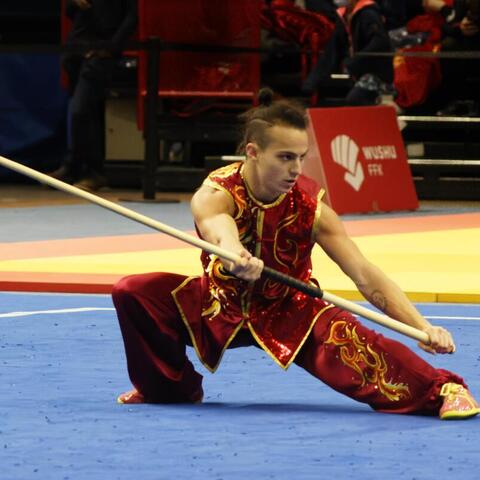 arun Schiffman - Individual - France - StageLync