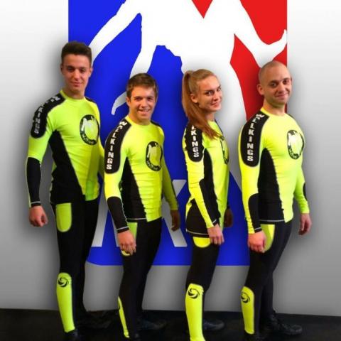 WallKings - Company - Hungary - StageLync