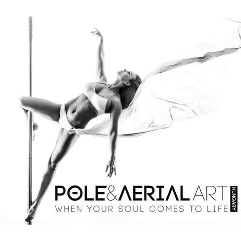 Pole and Aerial Art Hungary - Company - StageLync