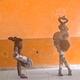 Circus talk belek - Company - Ethiopia - StageLync