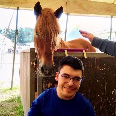 armando alò - Individual - Italy - StageLync