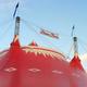 Circus Flora - Company - United States - StageLync