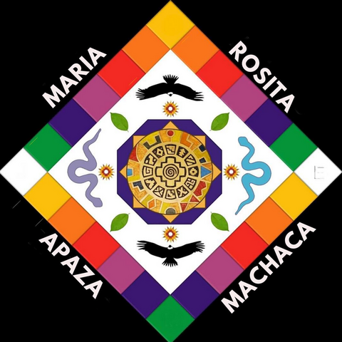 Maria Rosita Apaza Machaca - Individual - Ireland - StageLync
