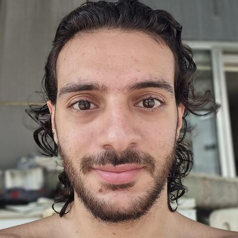 walid bayeh - Individual - Lebanon - StageLync