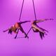 Duo Lof - Company - Spain - StageLync