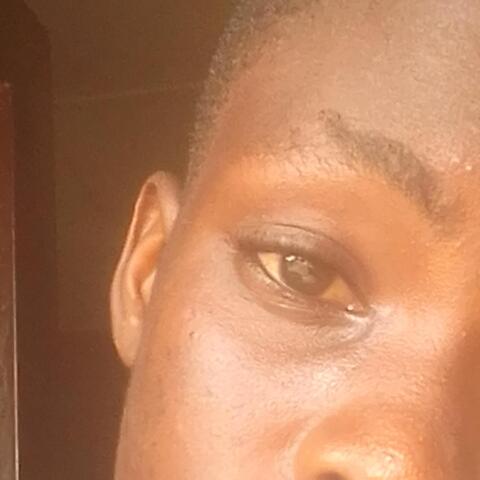 Alokwu Daniel - Individual - Anguilla, Nigeria - StageLync