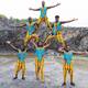 Circus Zambia - Company - Zambia - StageLync