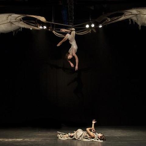 jenny ritchie - Individual - New Zealand - StageLync