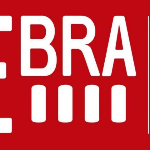 Corporacion Cultural CEbra - Organization - Chile - StageLync
