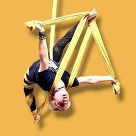 Aerial Arts Studio - School - United Kingdom - StageLync