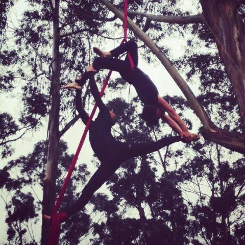 Fabian sanchez - Individual - Colombia - StageLync