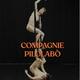 Compagnie Pilolabò - Company - Belgium - StageLync