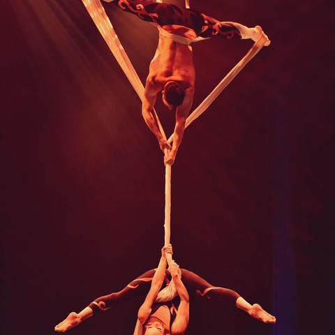 Cirkadance - Company - France - StageLync