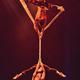 Cirkadance - Company - France - StageLync