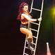 steacy giribaldi - Individual - Italy - StageLync